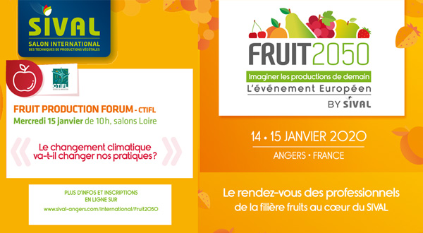 fruit2050 sival20 citfl forum