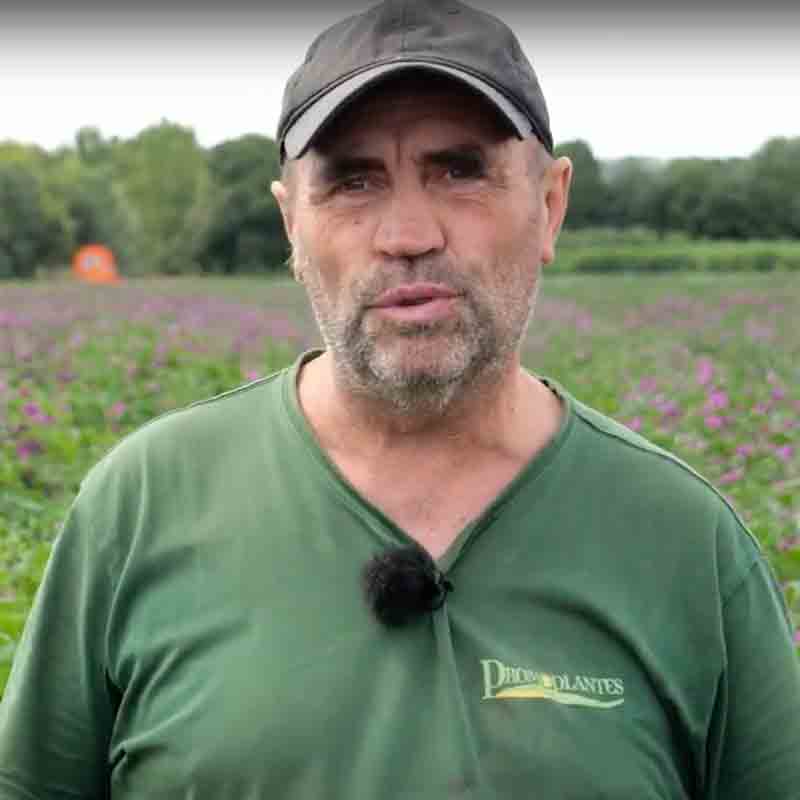 Laurent MARTINEAU