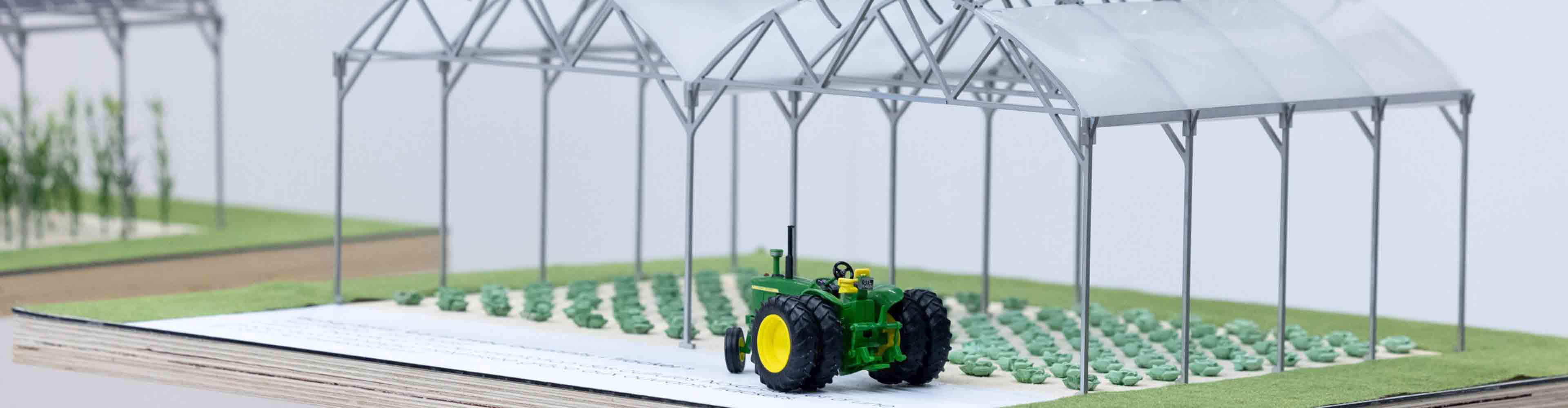 Una oferta dedicada al sector de horticultura y viveros en el SIVAL - © Régine Lemarchand - SIVAL