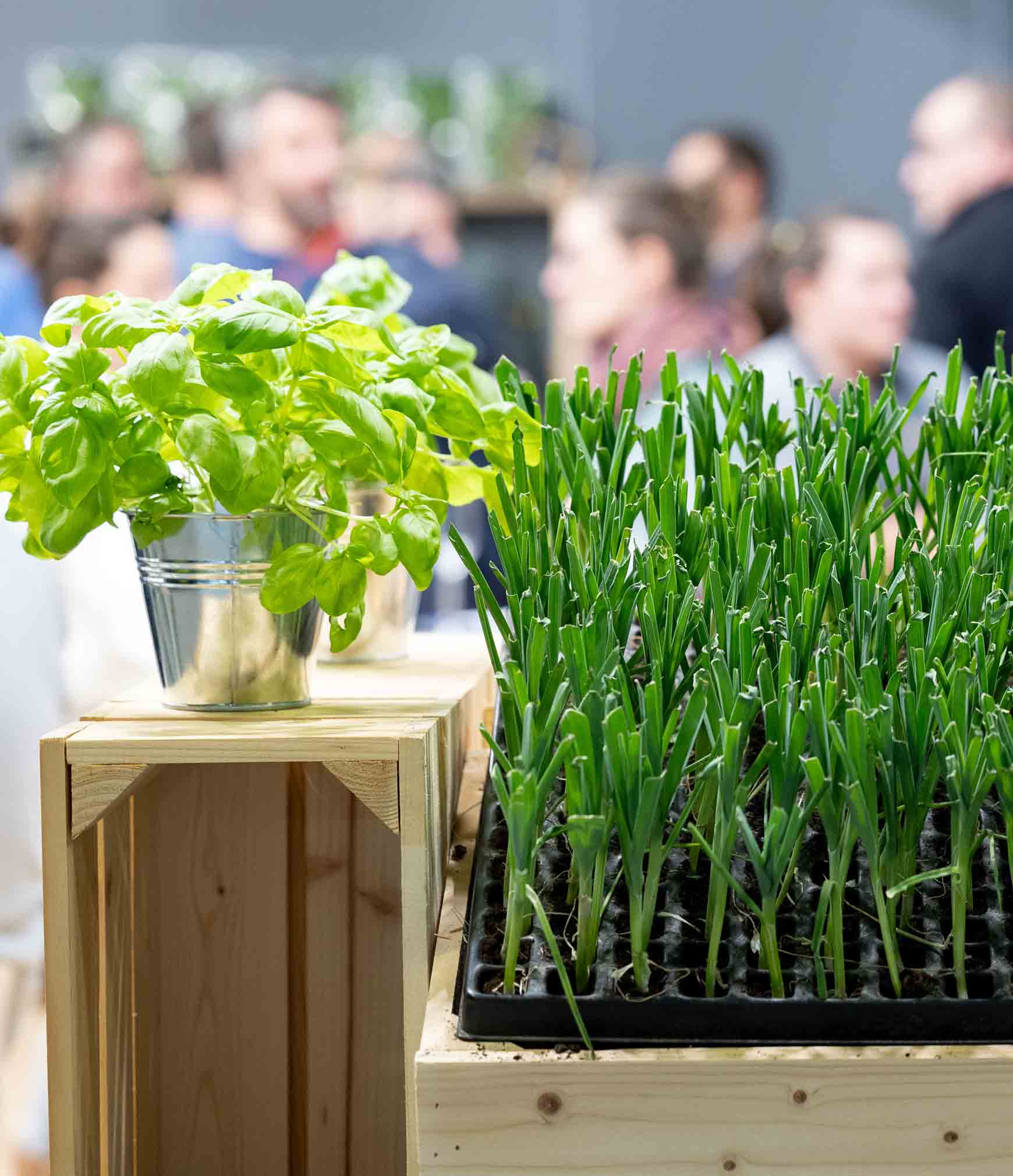 SIVAL_EXPOSANT_SEMENCES_&_PLANTS_PHOTO_REGINE_LEMARCHAND_JANV_2024-20-2