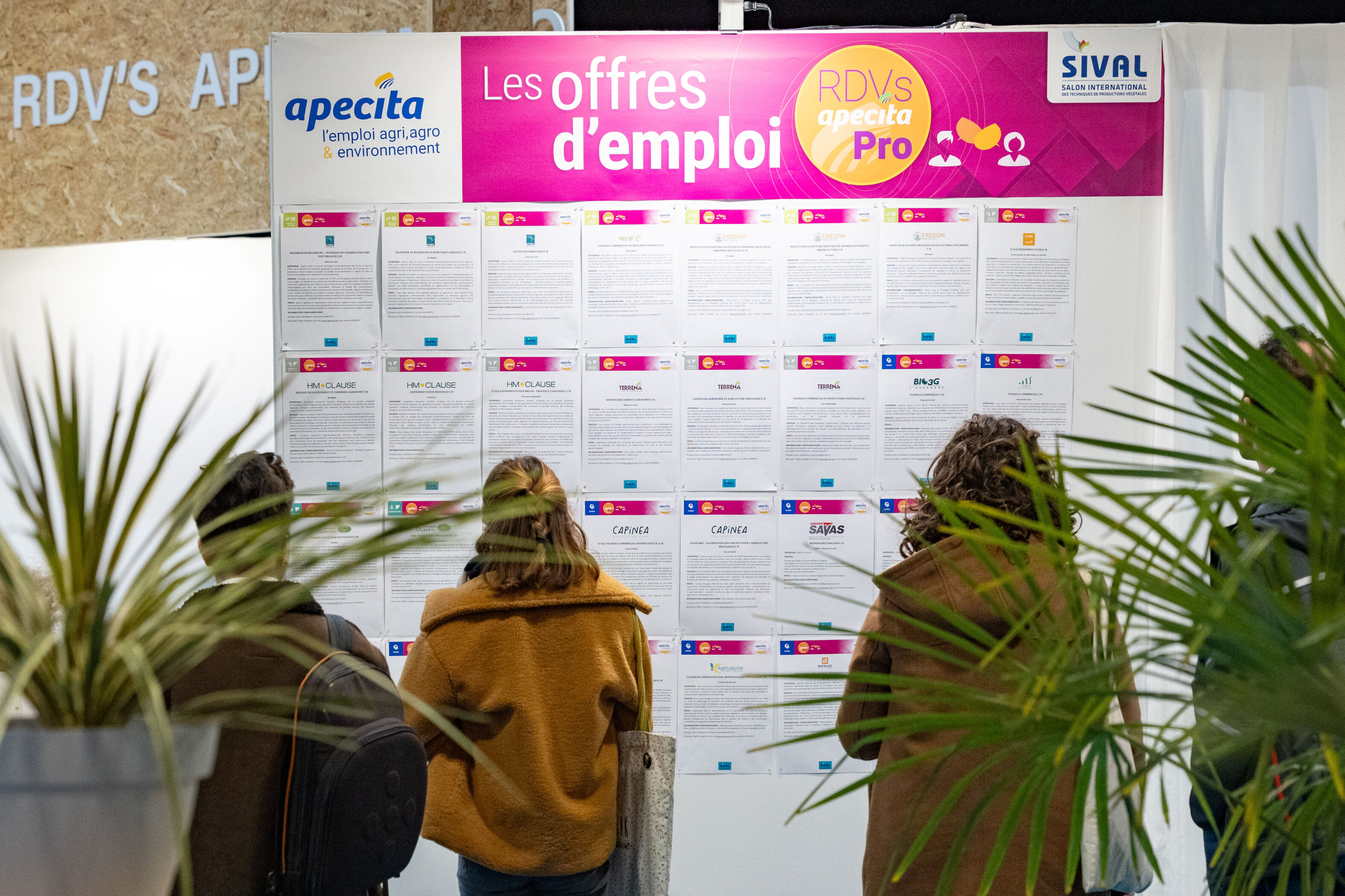 SIVAL_2025_EMPLEO Y REDES_Foto-Regine-Lemarchand-2