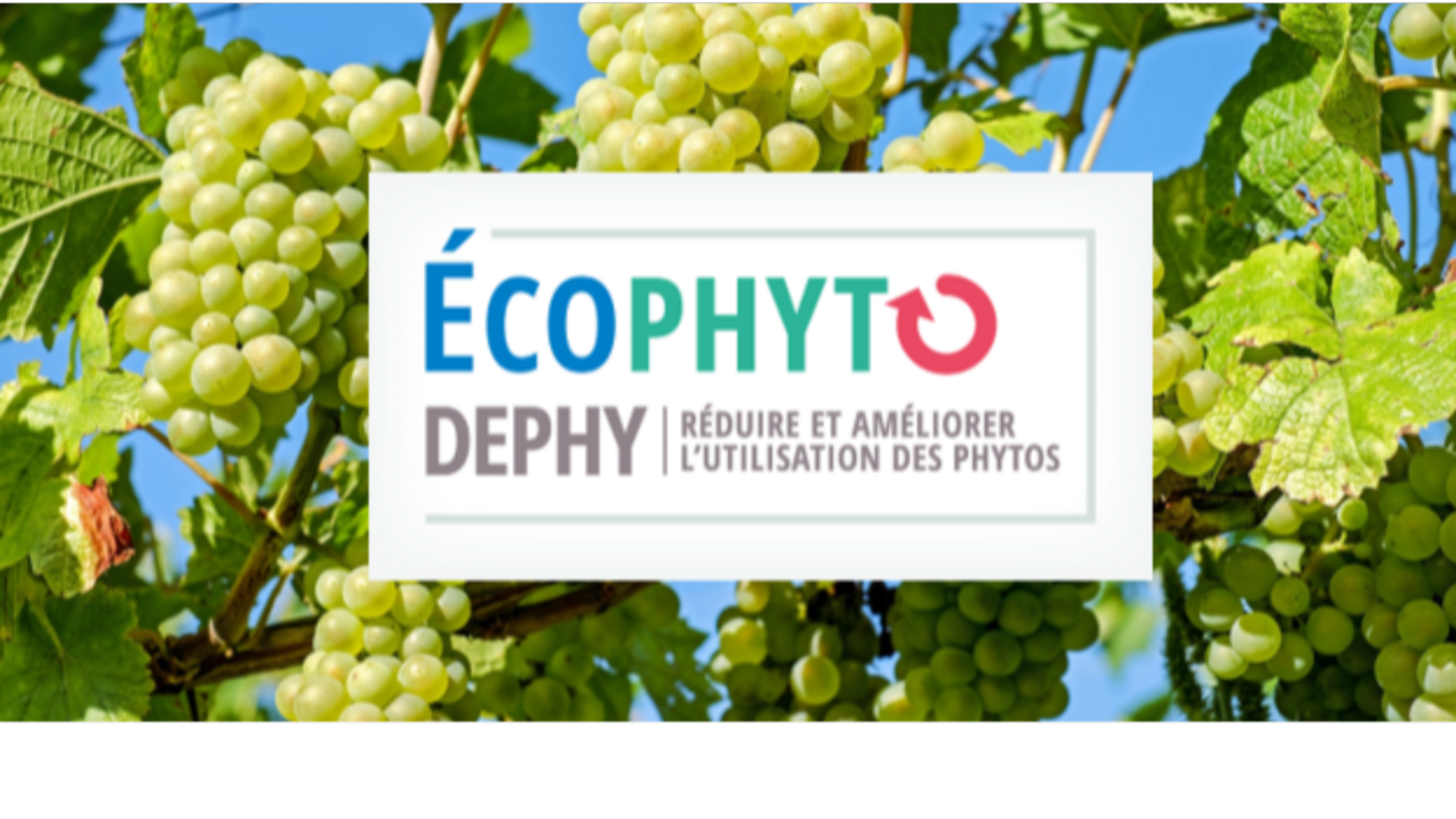 Dephy DEPHY viticulture: 10 years of results | SIVAL 2027