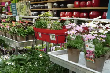 Optimiser l’innovation en horticulture ornementale : défis et leviers - SIVAL 2025