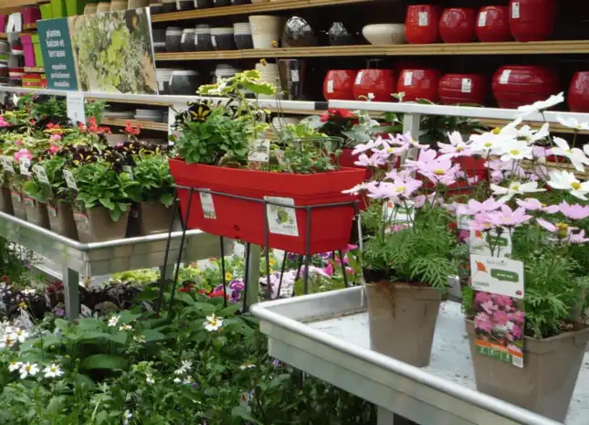 Optimiser l’innovation en horticulture ornementale : défis et leviers - SIVAL 2025