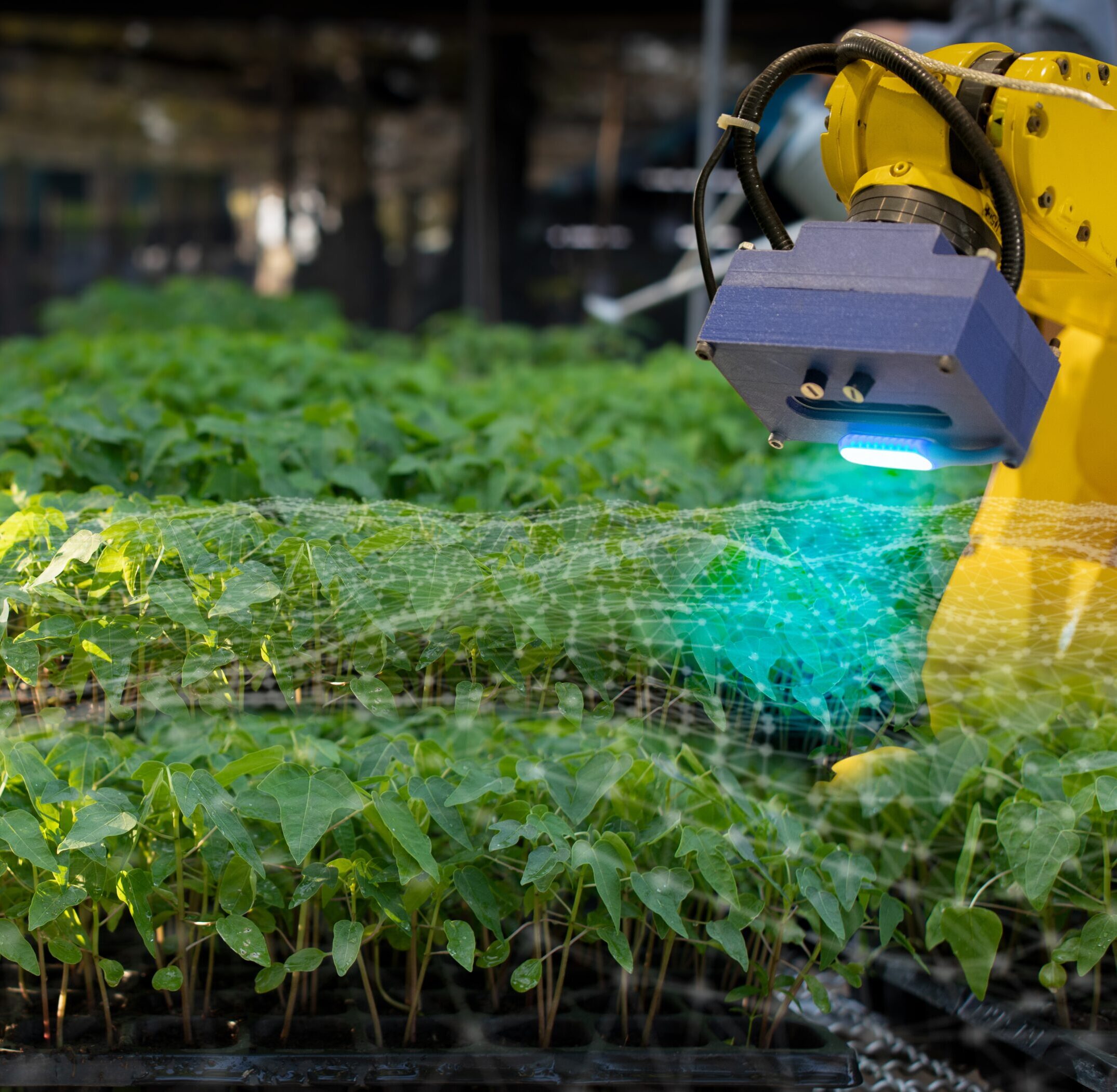 the-robot-is-analysing-the-problem-of-plant-in-gre-2024-12-07-16-53-53-utc-aspect-ratio-1740-1700