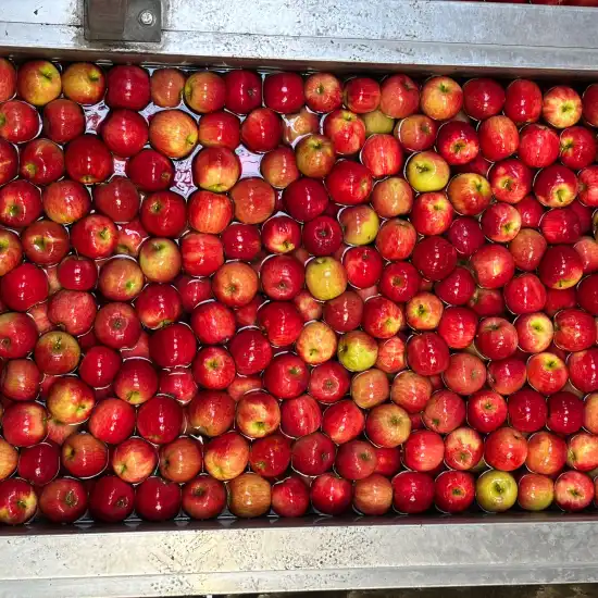 pommes-aspect-ratio-1100-1100