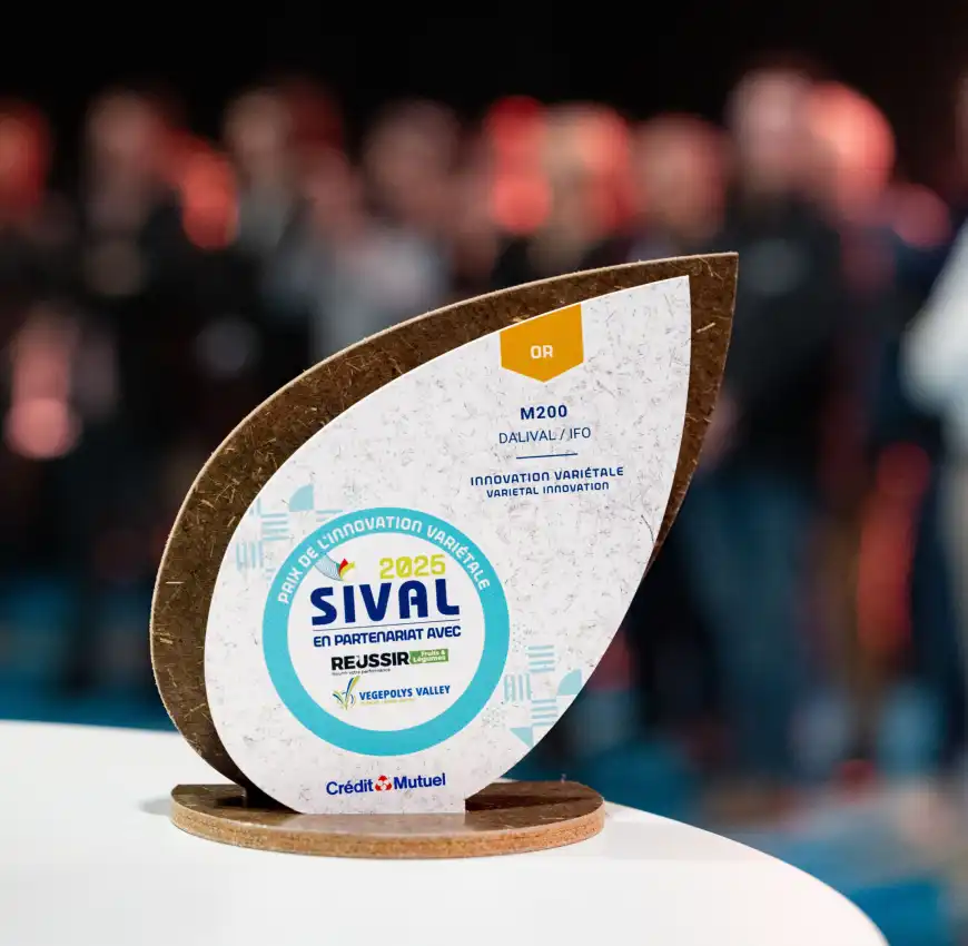 sival_2025_remise_de_prix_sival_photo-regine-lemarchand-1-1-aspect-ratio-1740-1700