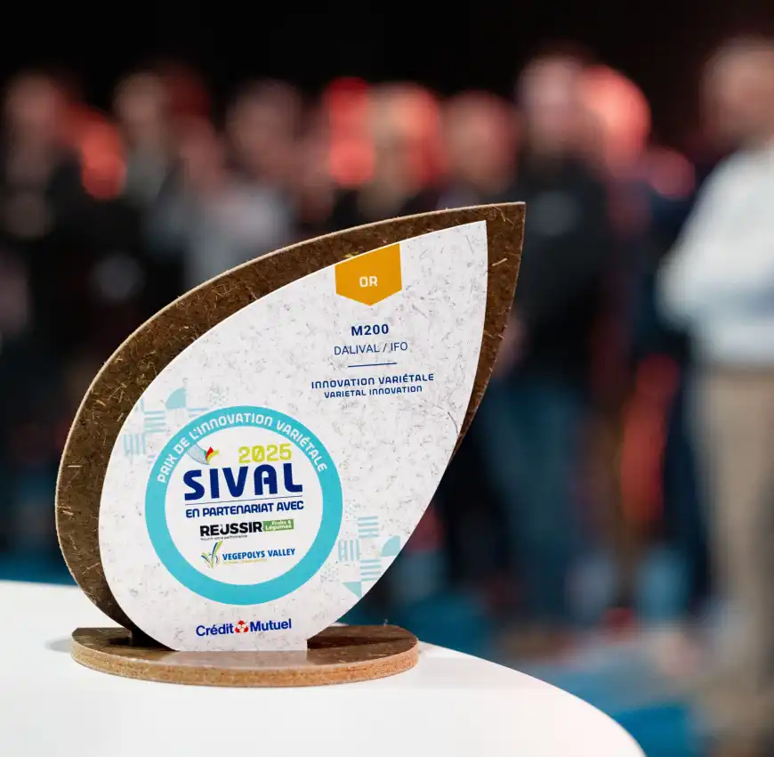 sival_2025_remise_de_prix_sival_photo-regine-lemarchand-1-1-aspect-ratio-1740-1700