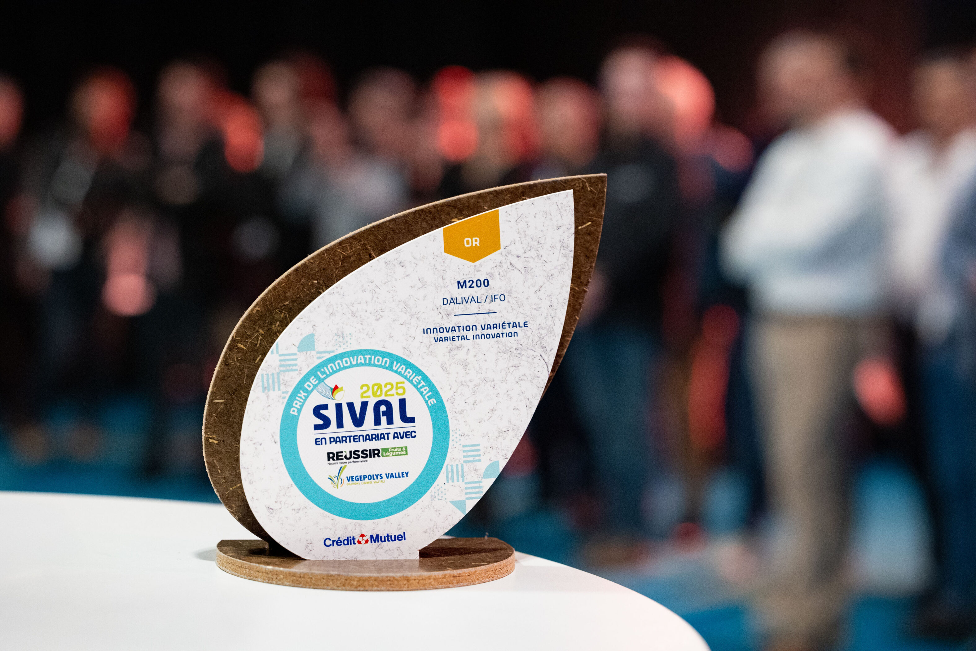 sival_2025_remise_de_prix_sival_photo-regine-lemarchand-1-1-aspect-ratio-1740-1700
