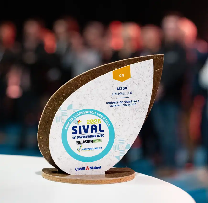 sival_2025_remise_de_prix_sival_photo-regine-lemarchand-1-1-aspect-ratio-1740-1700