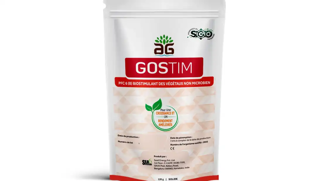 gostim-aspect-ratio-1600-1000