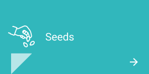 BTN_seeds