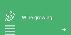 BTN_wine-growing