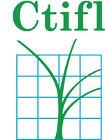 logo ctifl 200
