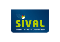 logo SIVAL 2019 pt
